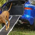 Dog-friendly car travel tips for your 2021 staycation