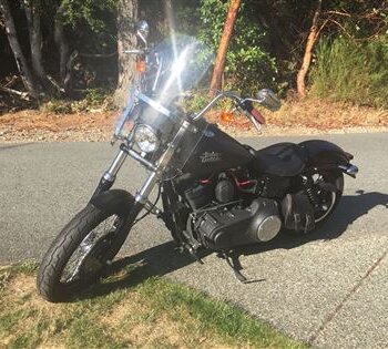 2014 Harley-Davidson FXDBP Street Bob