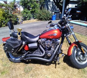 2011 Harley-Davidson Dyna Fat Bob FXDF...