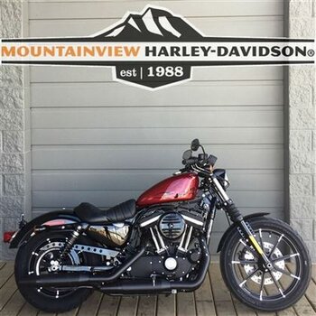 2017 Harley-Davidson XL883N IRON