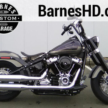 2019 Harley-Davidson FLSL Softail Slim