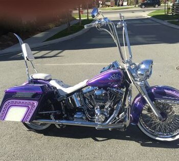 2010 Harley-Davidson FLSTN Heritage Sp...