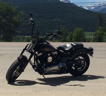 2010 Harley-Davidson Cross Bones