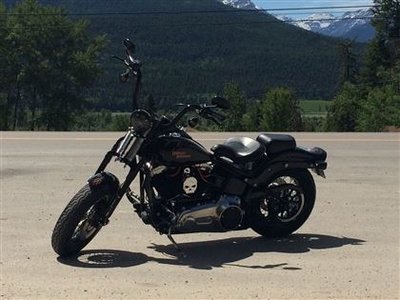 2010 Harley-Davidson Cross Bones