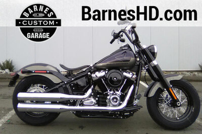 2019 Harley-Davidson FLSL Softail Slim